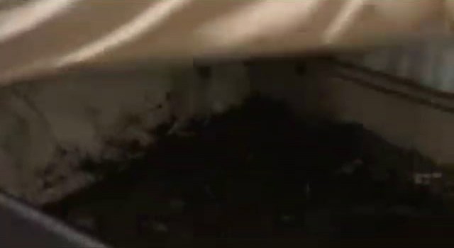 Yatağın altından yorgan yerine bakın ne çıktı