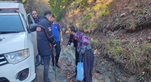 Yeğeniyle mantar toplamaya giden yaşlı kadın ormanda kayboldu