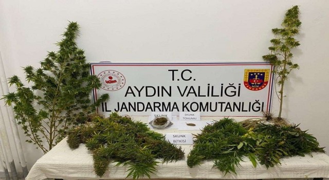 Yenipazarda uyuşturucu baskını