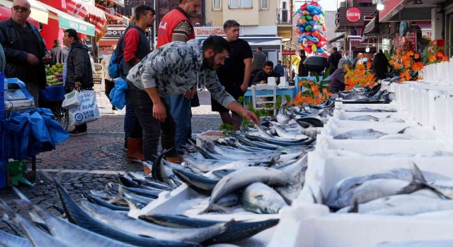 Yer gök palamut: Tanesi 100 TLden satılıyordu bugün 3 tanesi 100 TL