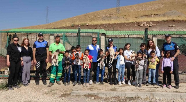 Yüksekovada 4 Ekim Hayvanları Koruma Günü etkinliği