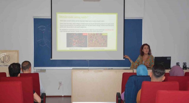 Yunus Emre Sağlık Hizmetleri Meslek Yüksekokulundan “Mimikri ve Mimesis Semineri”