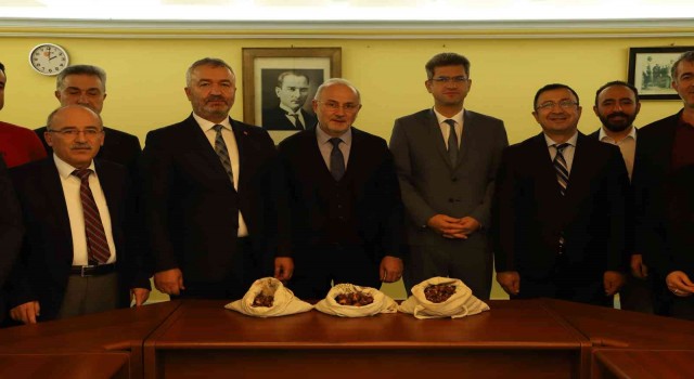 19 Mayısa kestane ormanı kurulacak