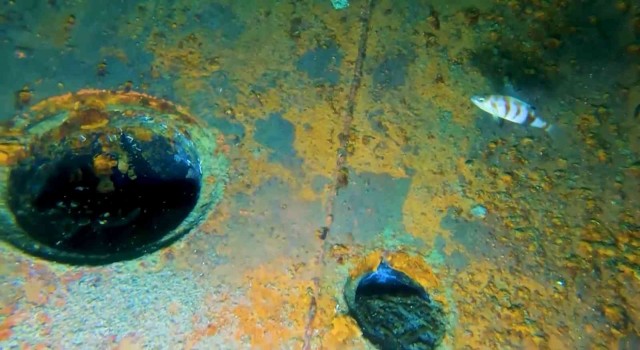 1999 yılında Marmara Denizinde batan “Semele” isimli gemi 23 yıldır çıkartılmayı bekliyor