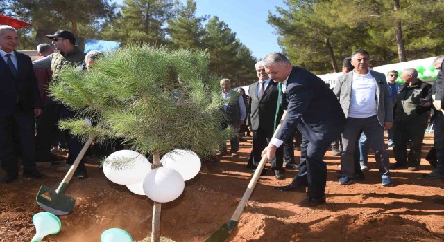 30 dönümlük alanda 3 bin 500 adet kızılçam, mazı ve fıstık fidanı dikildi