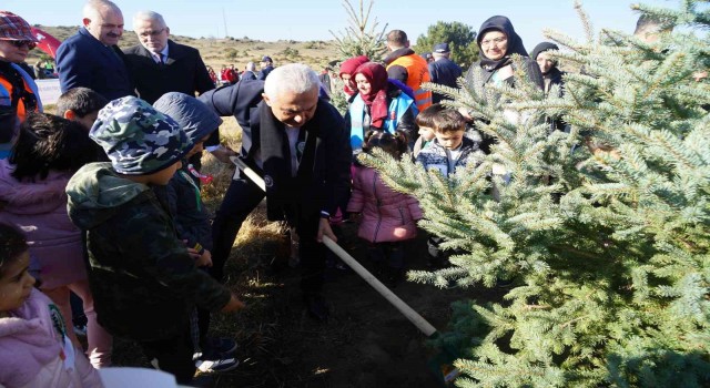 783 bin hektar ormanı bulunan Kastamonuda, 185 bin hektar son 50 yılda ağaçlandırıldı