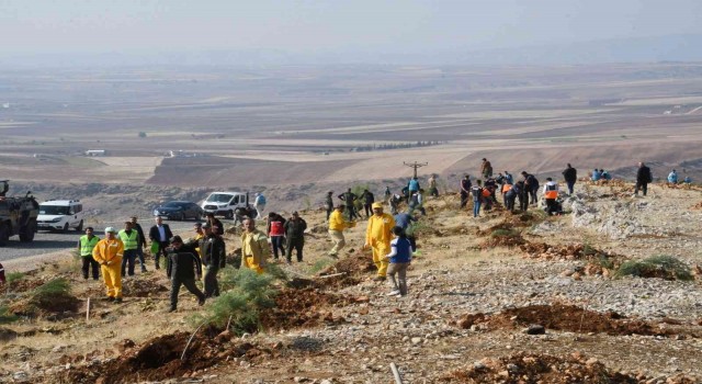 Adıyamanda, fidanlar toprakla buluşturuldu