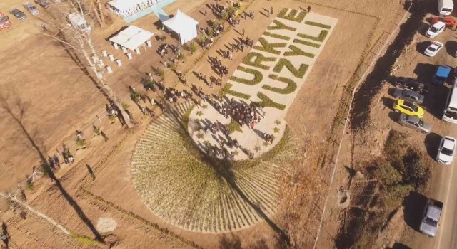 Ağaç desenleriyle Türkiye Yüzyılı logosunu işlediler