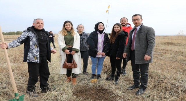 Ağrıda 41 maden şehidi anısına fidan dikildi