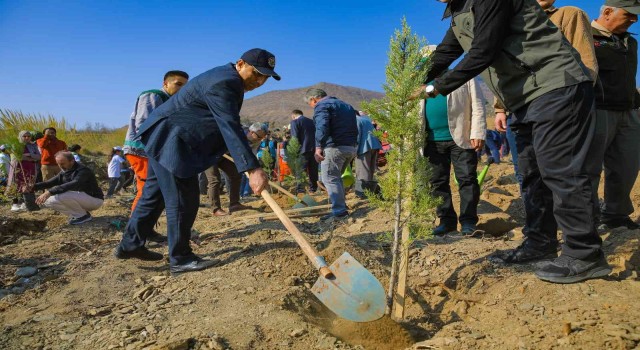 Akkuyu Nükleer A.Ş. çalışanları Geleceğe Nefes etkinliği çerçevesinde fidan dikti