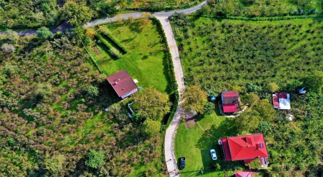 Altınorduda beton yol çalışmaları sürüyor