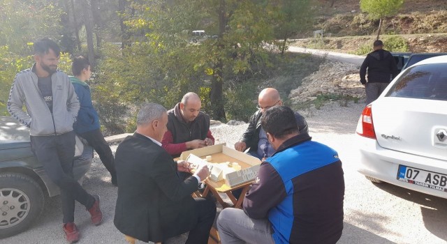 Antalyada damada bulaşık önlüğü, ayva ve salatalık taktılar