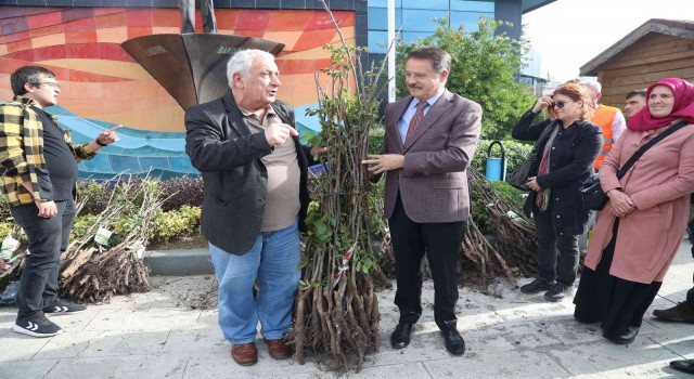 Atakumda üreticiye ceviz fidanı desteği