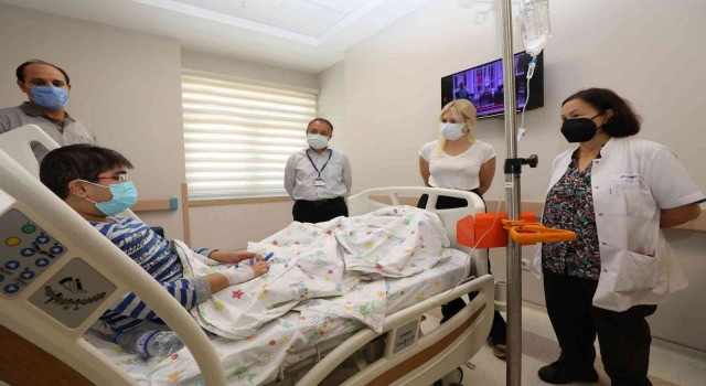 AÜde 317 nakilden 163ü canlı vericiden 21i ise kadavradan oldu