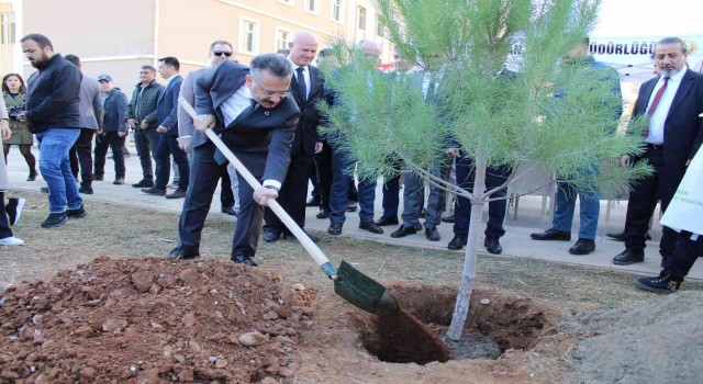 Aydında 109 bin fidan toprakla buluştu