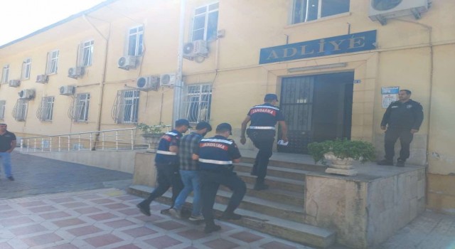 Aydında aranan şahıslar jandarmadan kaçamadı