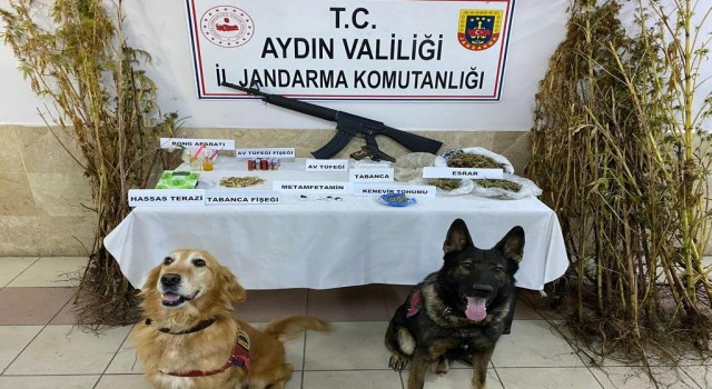 Aydında eş zamanlı uyuşturucu operasyonu: 26 gözaltı