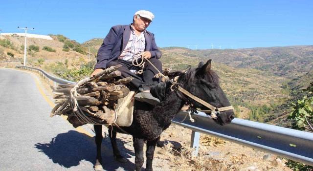 Aydında geleneksel kış hazırlıkları başladı