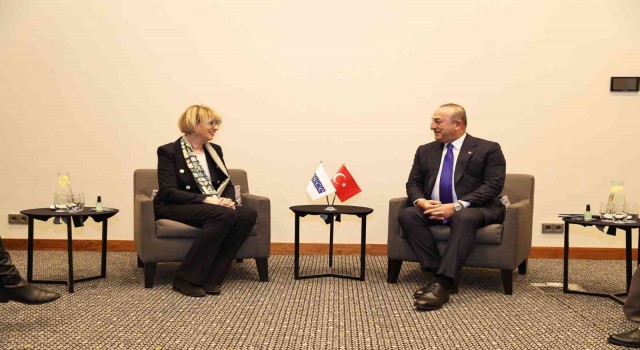 Bakan Çavuşoğlu, AGİT Genel Sekreteri Schmid ile görüştü