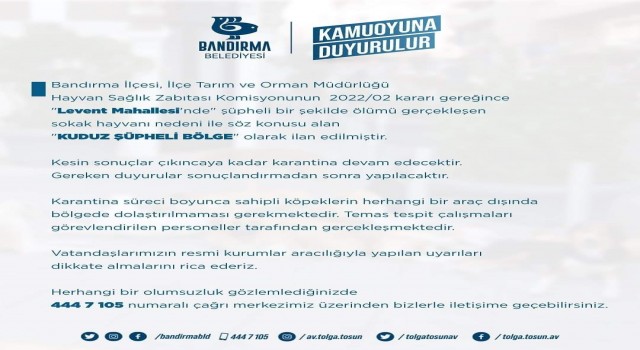 Bandırmada bir mahalle kuduz şüphesi nedeniyle karantinaya alındı