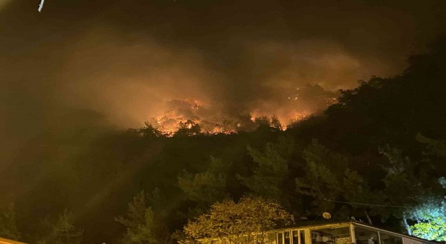 Bartında orman yangını: 4 kişi gözaltına alındı