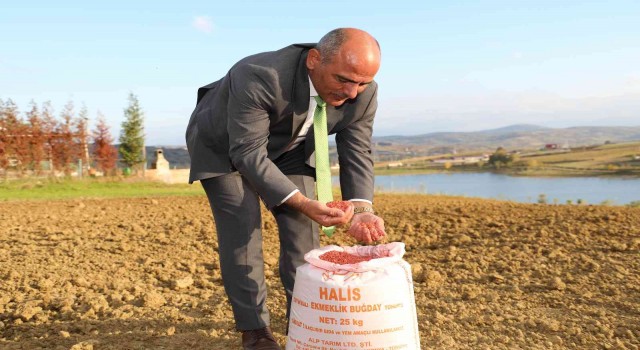 Başkan Söğüt: Çiftçimize 37 ton buğday tohumu dağıtacağız