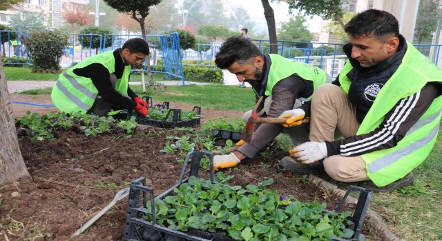Batmanda cadde ve refüjler çiçeklerle süslendi