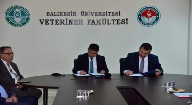 BAÜNde Damızlık Koç Üretim Merkezi kuruluyor