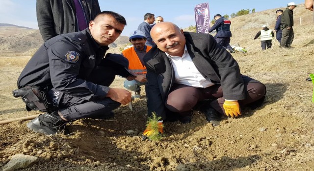 Bayatta ağaçlandırma seferberliği