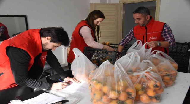 Belediye bahçesinde toplanan cennet hurmaları ihtiyaç sahiplerine dağıtıldı