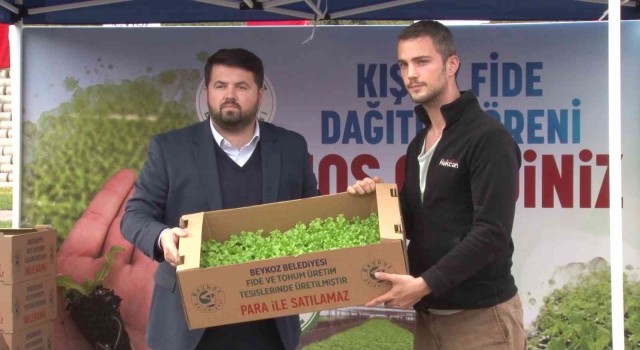 İstanbul Beykoz'da çiftçilere 400 bin kışlık fide desteği