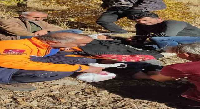 Bingölde kuşburnu toplanken kaybolan yaşlı kadın bulundu