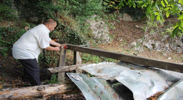 Bir Karadeniz klasiği: Kovanlarını ayılardan korumak için ‘ayısavar yaptı