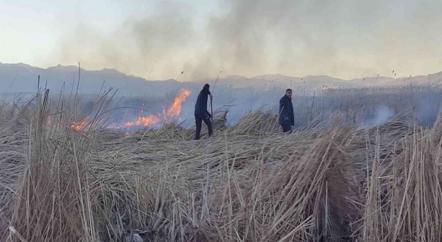 Birçok kuş türünün yaşadığı Nehil Sazlığında yangın