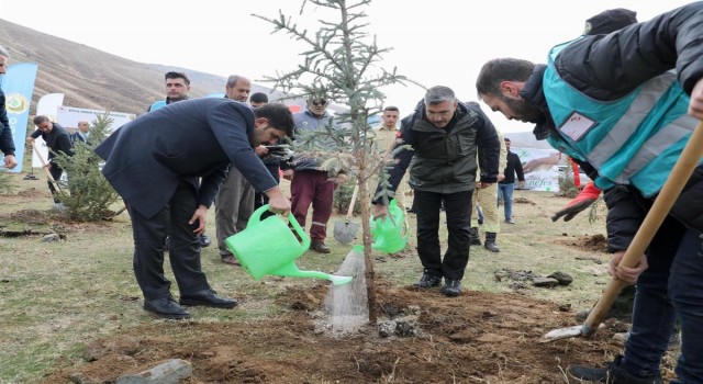 Bitliste 3 bin fidan dikildi