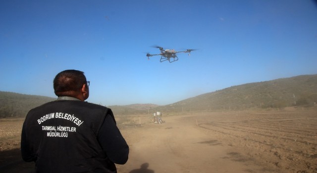 Bodrum Belediyesinde drone ile ilaçlama dönemi başlıyor