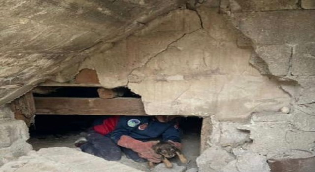 Bodrum katında mahsur kalan yavru köpekleri itfaiye kurtardı