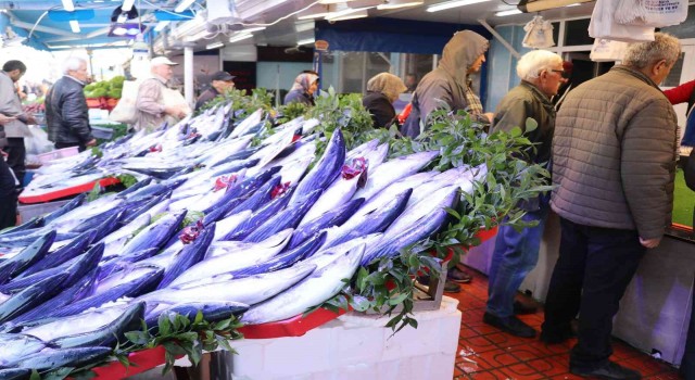 Boluda balık tezgahları palamut ve hamsiyle doldu