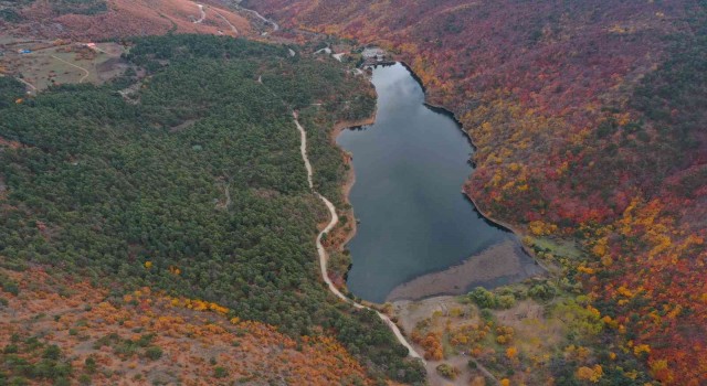 Boraboy Gölü Tabiat Parkında renk cümbüşü