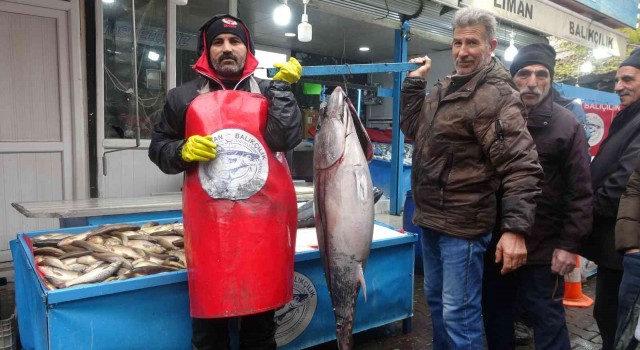 Bu balıkları görenler dönüp bir daha bakıyor, fotoğraf çekiyor