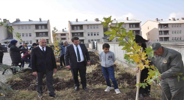 Bulanıkta, fidanlar toprakla buluştu