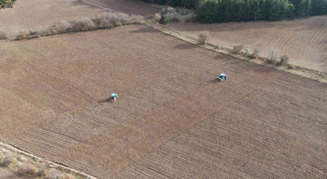 ‘Bulgurun atası siyezin ekimine başlandı