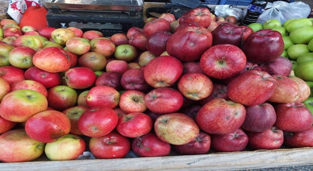 Burhaniyede organik ürünler çiftçileri sevindirdi