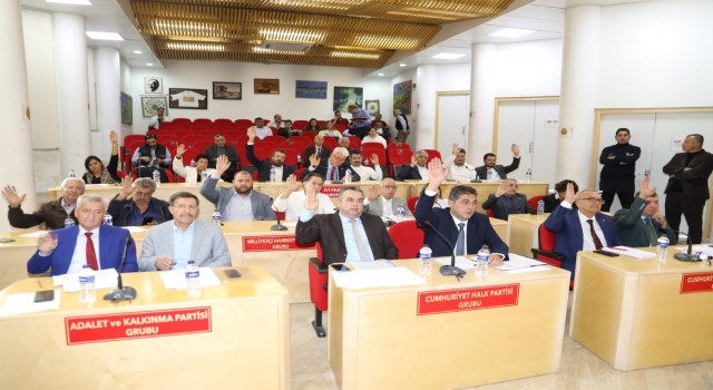 Burhaniyede zeytin katliamının önüne geçilecek