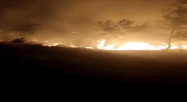 Bursada ormanlık alanda korkutan yangın