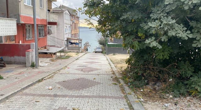 Büyükçekmecede çocuğu köpek ısırınca ortalık savaş alanına döndü