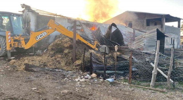 Çanakkalede samanlık yangını: 6 inek telef oldu