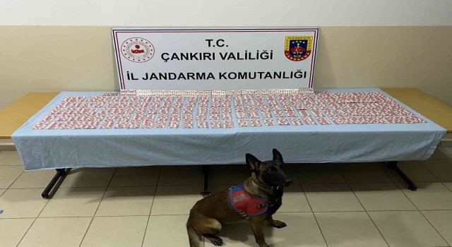Çankırıda jandarma ekipleri suça geçit vermiyor