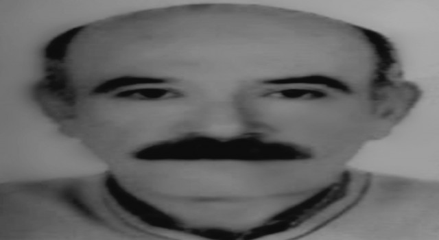 Ceviz ağacından düşen şahıs hayatını kaybetti