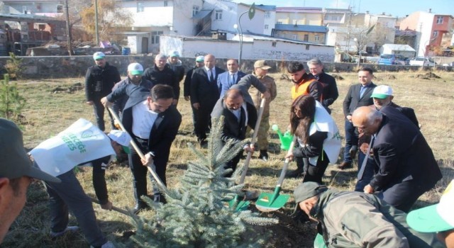 Çıldırda fidan dikimi gerçekleştirildi